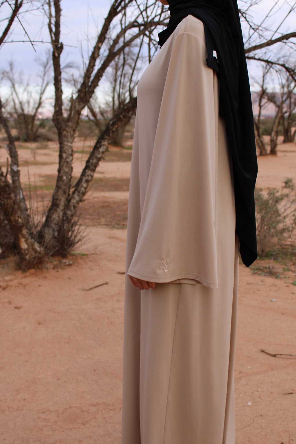 The Timeless dress